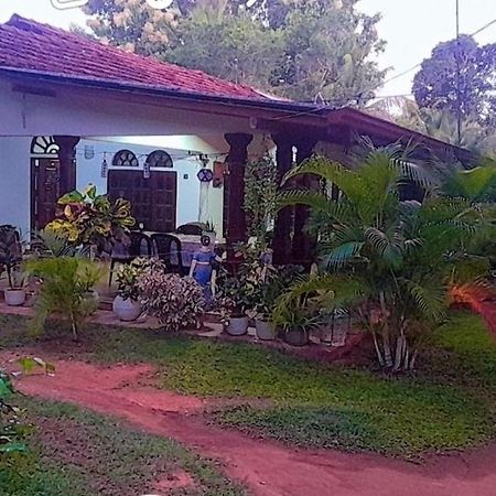 Ovi House Bed and Breakfast Dambulla Buitenkant foto