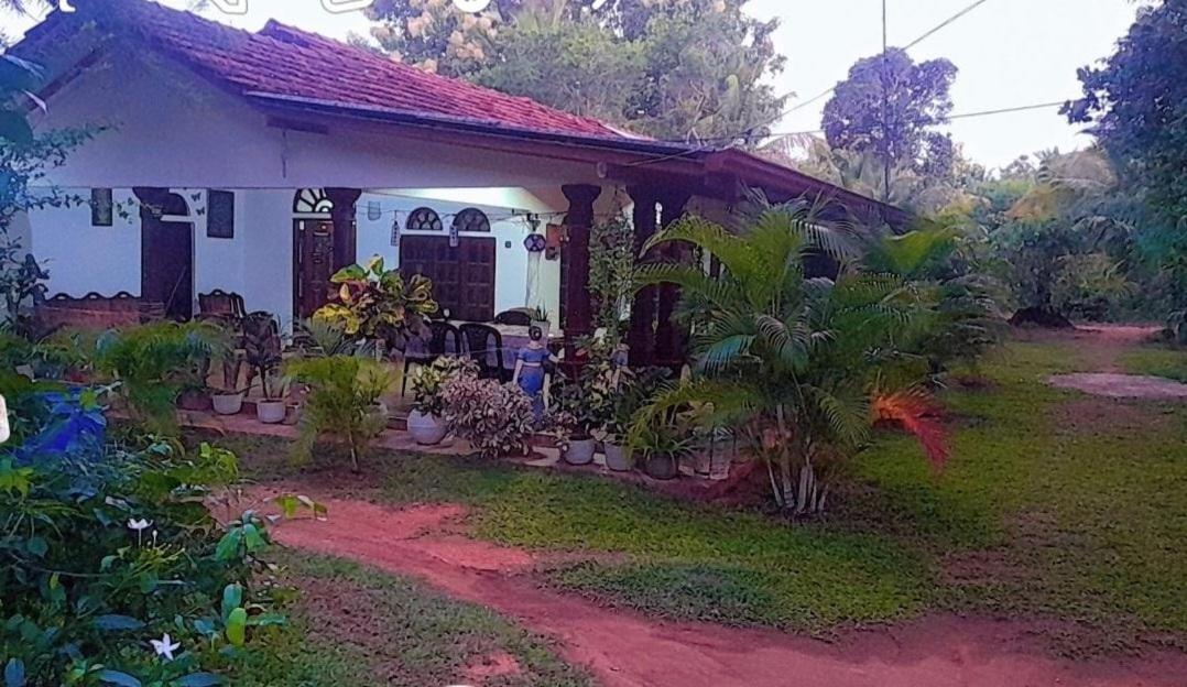 Ovi House Bed and Breakfast Dambulla Buitenkant foto