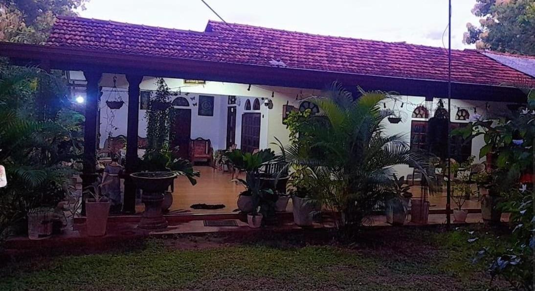 Ovi House Bed and Breakfast Dambulla Buitenkant foto